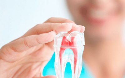 ¿Qué hace un dentista?