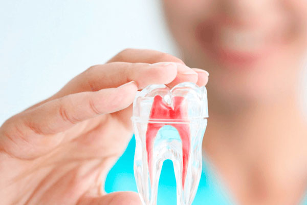 Endodoncista